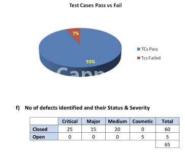 I will perform testing and validate your website app
