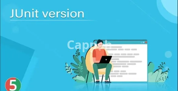 I will perform full wcag accessibility testing of website