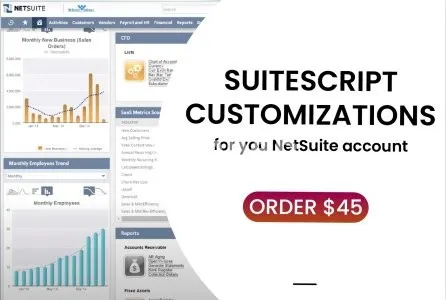 I will do netsuite scripting and customization