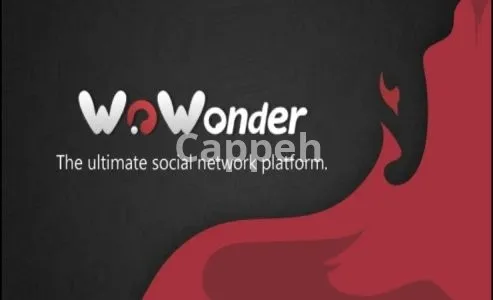 I will install and customize wowonder php script