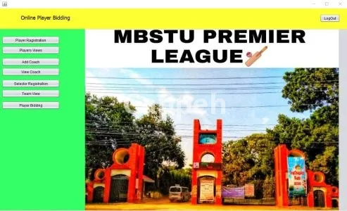 I will do professional java app programming and desktop application