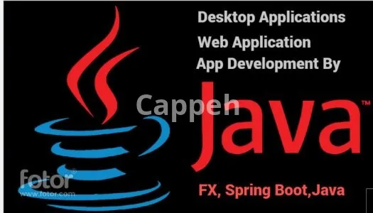 I will do professional java app programming and desktop application