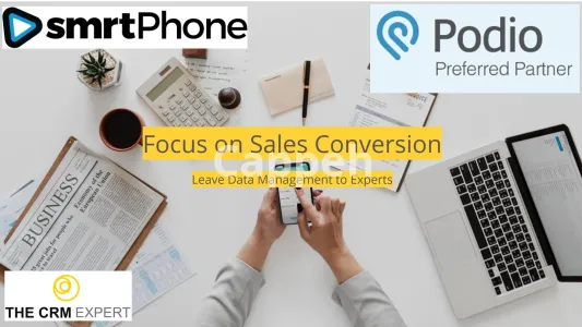 I will create a user friendly simple real estate podio CRM system