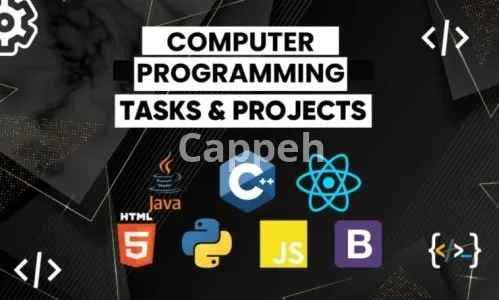 I will do computer science task, assignments, projects, applications and networking