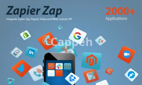 I will integrate zapier zap, paypal, stripe and write custom API