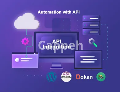 I will do api integration in wordpress and woocommerce websites