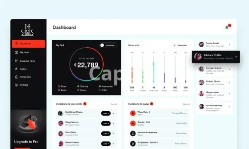 I will offer website design and web application development