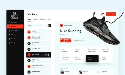 I will offer website design and web application development