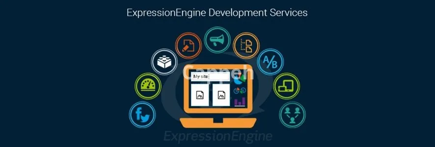 I will improve your expression engine website, design and fix errors