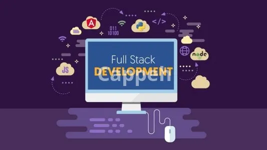 I will do both frontend and backend development for professional websites