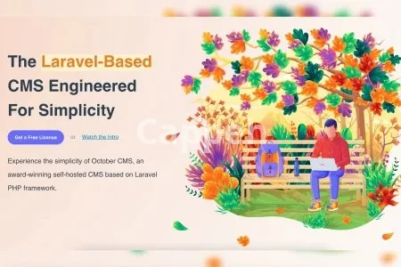 I will develop your website in october cms or laravel