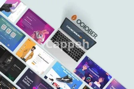 I will develop your website in october cms or laravel