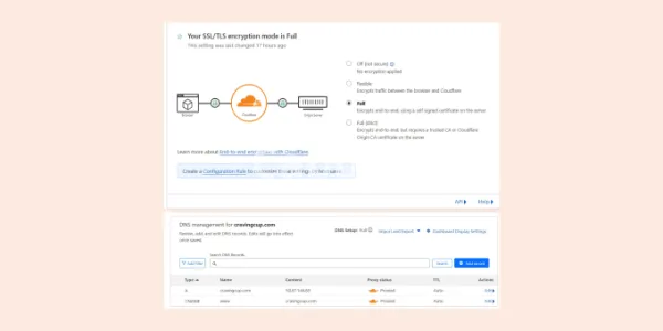 I will setup cloudflare dns, CDN, SSL, optimization and fix issues