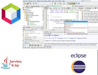 I will do java programming in eclipse and netbeans intellij
