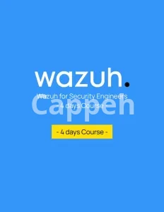 I will setup vps server with free control panel ci cd AWS