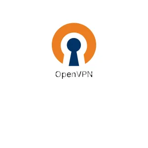 I will setup openvpn server on AWS ec2