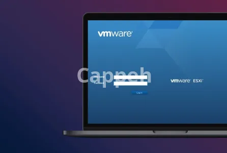 I will setup vmware esxi and vsphere infrastructure