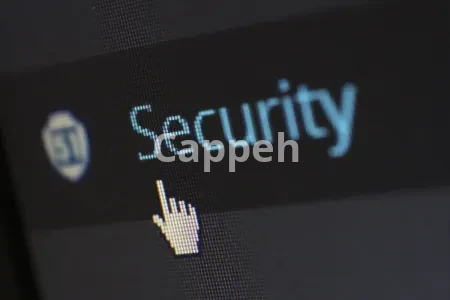 I will conduct penetration testing on your IP addresses