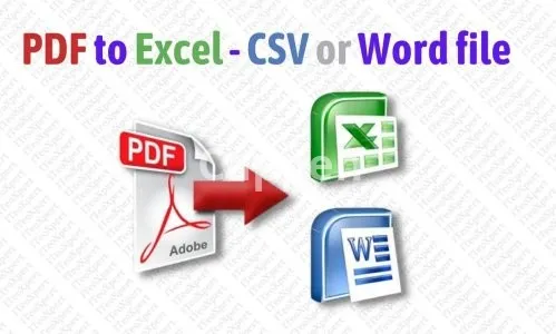 I will convert PDF to excel or CSV file, image, scanned docs to excel or google sheet