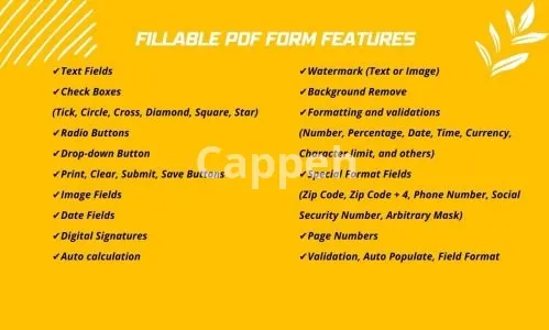I will create fillable pdf form, excel form, invoice template, order form, checklist