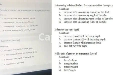 I will convert your scanned document to text using ocr software