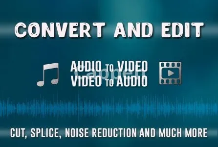 I will edit and convert your audio or video file