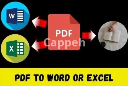 I will pdf conversion in 12 hours