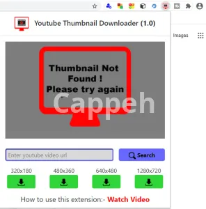 I will develop any kind of chrome extension and web automation tool