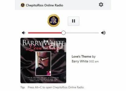 I will build browser extension for internet radio