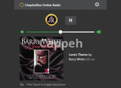 I will build browser extension for internet radio