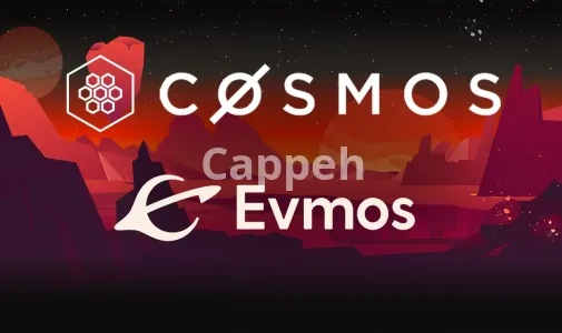 I will create your own blockchain by using cosmos sdk or evmos