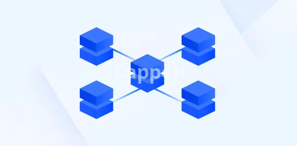 I will investigate and analize blockchain transactions or addresses