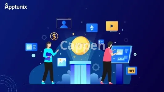 I will setup multi chain supported nft marketplace