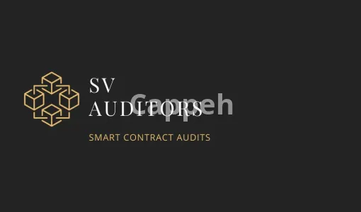 Our agency will do smart contract audit and security code review