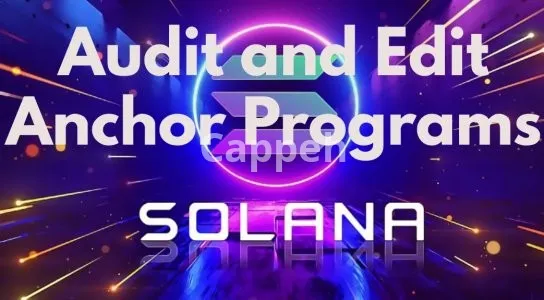 I will audit and edit anchor programs on solana
