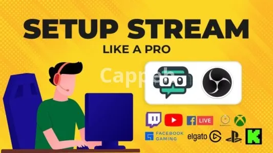 I will work on obs stream setup for twitch, youtube and kick