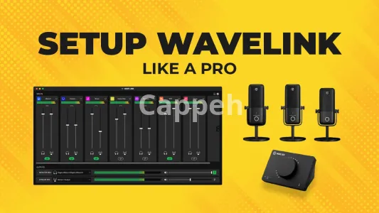I will setup wavelink or wavexlr for your stream