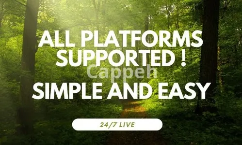 I will 247 live streaming youtube pre recorded video