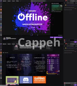 I will help setting up your streaming software