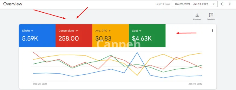 I will setup, optimize and manage KPI focused google ads campaign