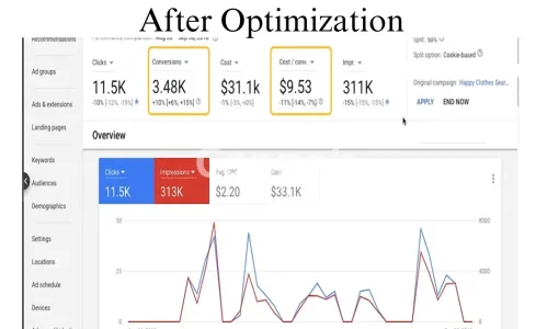 I will audit and optimize google ads PPC ads campaigns adwords search ads as SEM expert