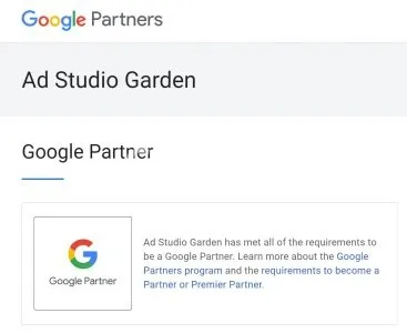 I will create a google ads strategy and increase ROI