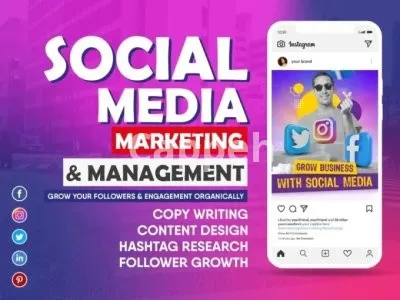 I will be your social media manager and content creator