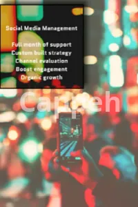 I will manage social media accounts and get your brand noticed