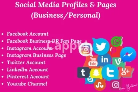 I will set up your social media accounts and pages