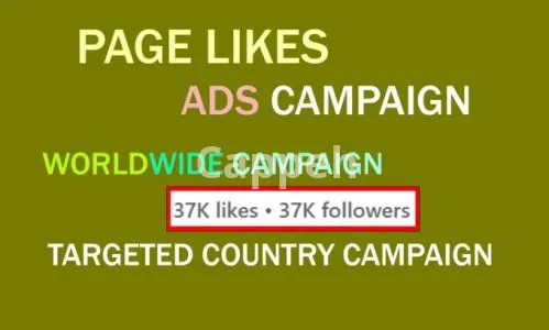 I will create a facebook ad campaign to grow your page likes