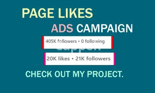 I will create a facebook ad campaign to grow your page likes