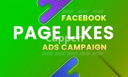 I will create a facebook ad campaign to grow your page likes