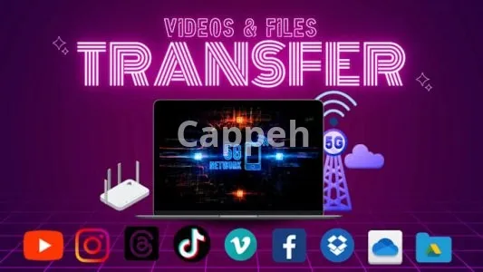 I will transfer video from any platform to youtube and vimeo