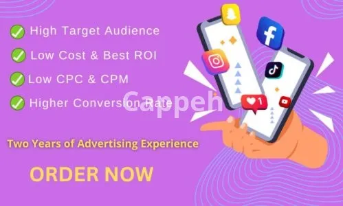 I will run highly converting fb and ig ads campaigns for sales